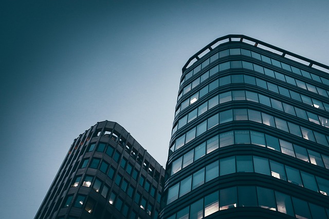 Conseil Aux Entreprises : Stratégies Pour Un Avenir Durable
